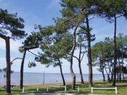 Top Andernos-les-Bains