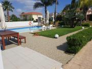 Top Paralimni