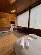 AHO 103 dağ manzaralı oda