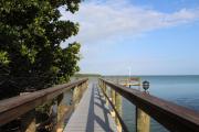 Top Big Pine Key