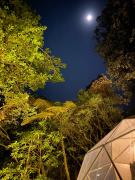 Top Monteverde