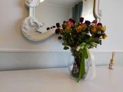 Top Mestre Top Mestre