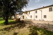 Top Grosseto