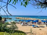 Top Paralimni