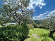 Top Cortona