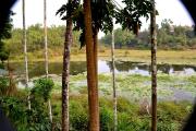 Top Wayanad