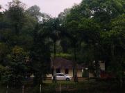 Top Wayanad