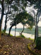 Top Wayanad