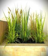 Top Weißenburg in Bayern