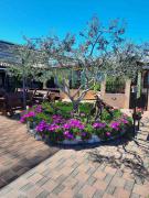 Monte studio app 4 Monte studio app 4