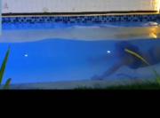 Encantos de Taperapuan Duplex