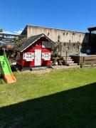 Top Trasmiras Top Trasmiras