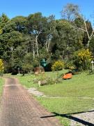 Top São Francisco de Paula