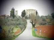 Top Monteriggioni