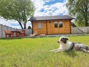 Glückseligkeit am Waldesrand