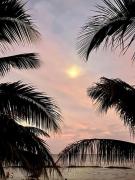 Top Playa del Carmen