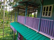 DOOARS VELLEY HOME STAY