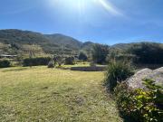 TAFI DEL VALLE QUESERIA TEMPORARIO