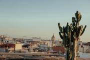 Top Giovinazzo