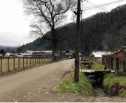 Top Neltume Top Neltume