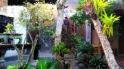 Top Ubud