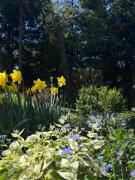 Top Koniaków Top Koniaków