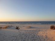 Top Rogowo Top Rogowo