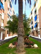 Top Fuengirola