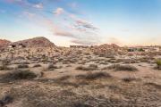Top Joshua Tree