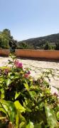 Top Begur
