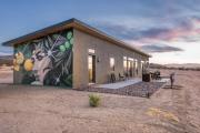Top Joshua Tree