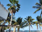 Top Cancún Top Cancún