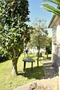 Top Capodimonte