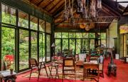 Jims Jungle Retreat