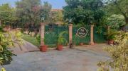 Top Jodhpur