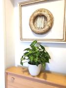 Top Poznań Top Poznań