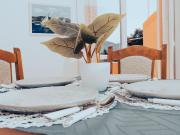 Hvar spa & apartments