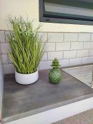 Top Peso da Régua Top Peso da Régua