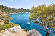 Top Toulon