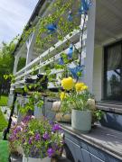 Top Ustroń Top Ustroń