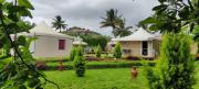 Top Nandi