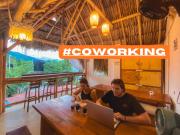 Top Palomino Top Palomino