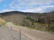 Top Sainte-Marie-aux-Mines