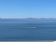 Pearl of Dalmatia Pearl of Dalmatia