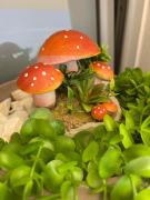 Top Kallithea Halkidikis