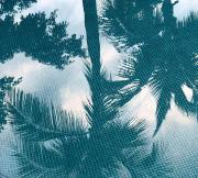 Top San José del Cabo