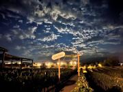 Don Tomas Viñedo cabañas