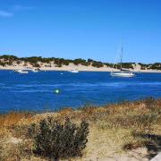 Top Novo Sancti Petri