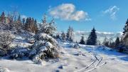 Top Herscheid