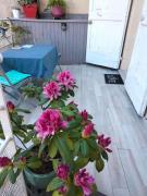 Les Chambres Hautes dAnastasia